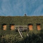 196体育官网:探索最新体育赛事和精彩直播的最佳平台 aqa317g74r