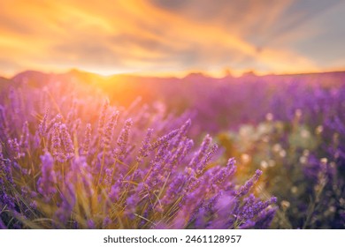 EDG对阵LGD巅峰对决直播火爆开启