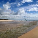 21选5最新开奖号码公布及中奖结果查询 423wdza