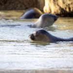 007体育直播:畅享全球顶级赛事高清实况 i8x9s0h