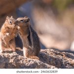 009期双色球开奖结果公布,大奖花落谁家? io4f8ovgzm