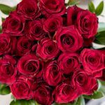 008488开奖现场最新实况播报与结果查询 t6v6bs