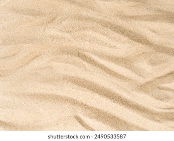 EE直播视频:高效互动教学体验全记录